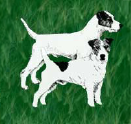 Parson und Jack Russell Terrier Club